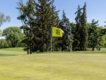Golf-Outing-2023-5